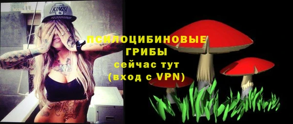 мдма Богданович