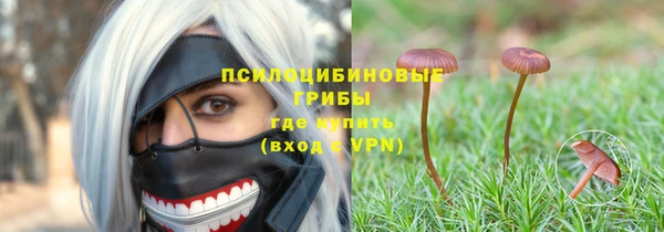мдма Богданович