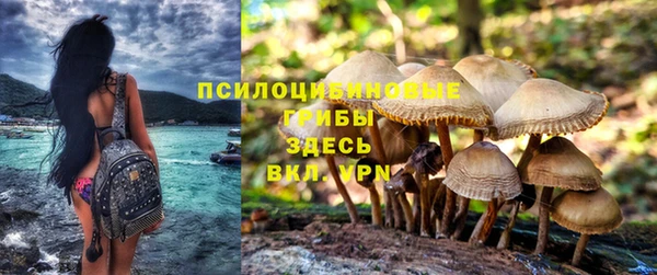 амфетамин Богородицк